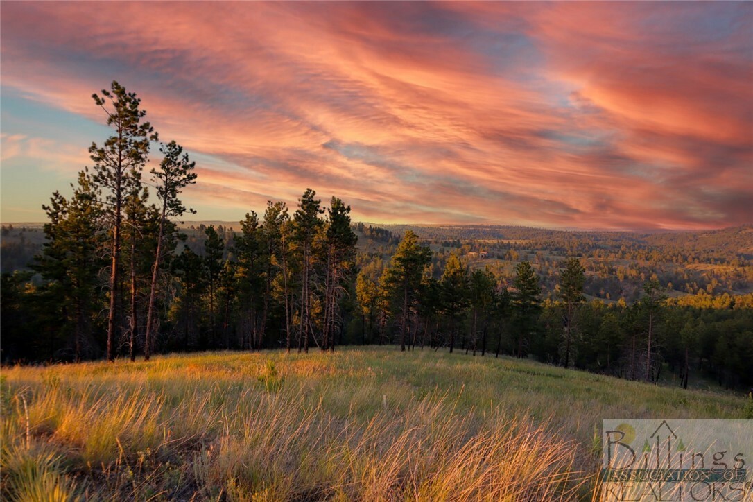 Property Photo:  28 Wild Turkey Ridge  MT 59019 