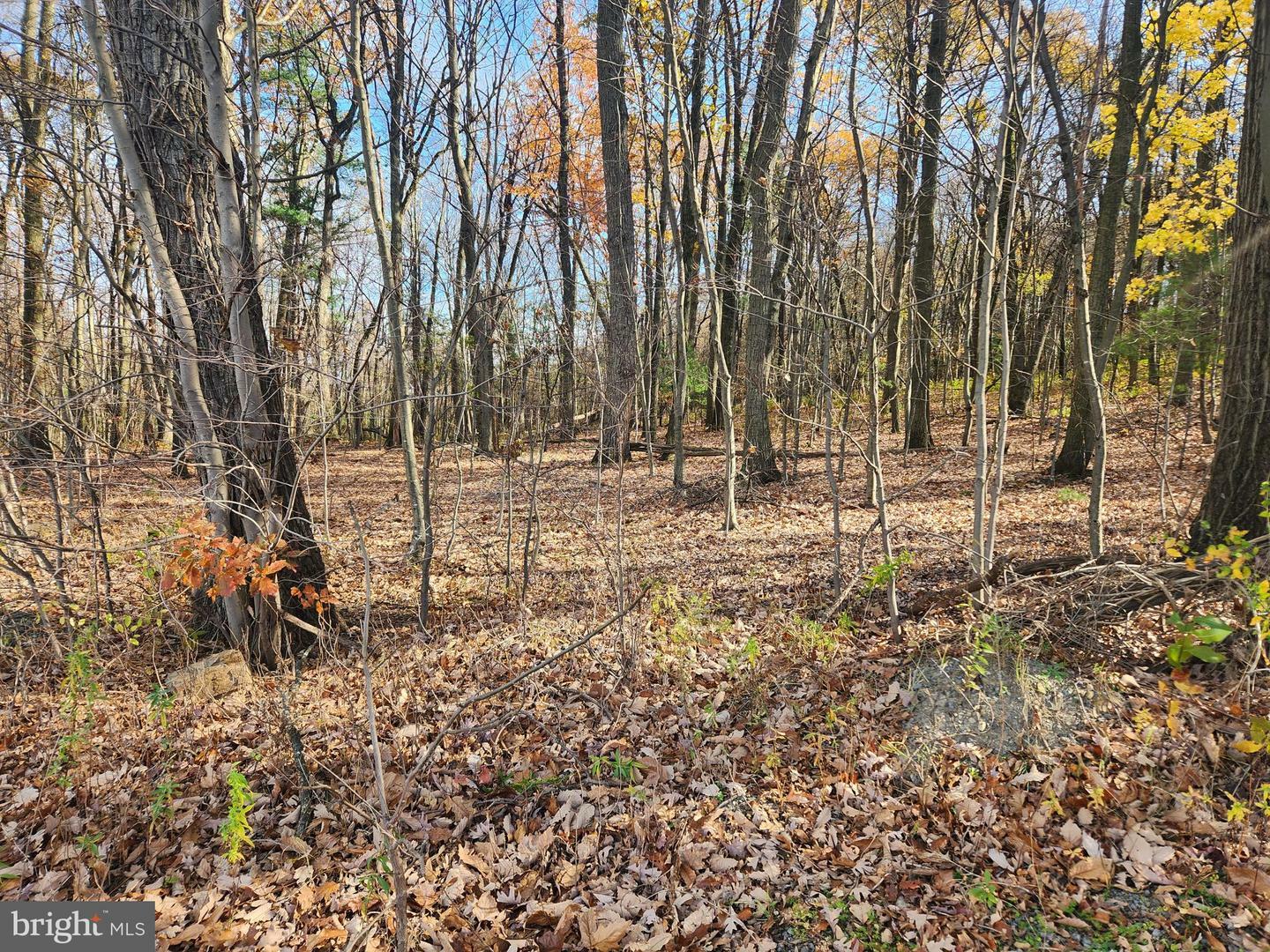 Property Photo:  Lot #150 Clay Hill Road  PA 17823 