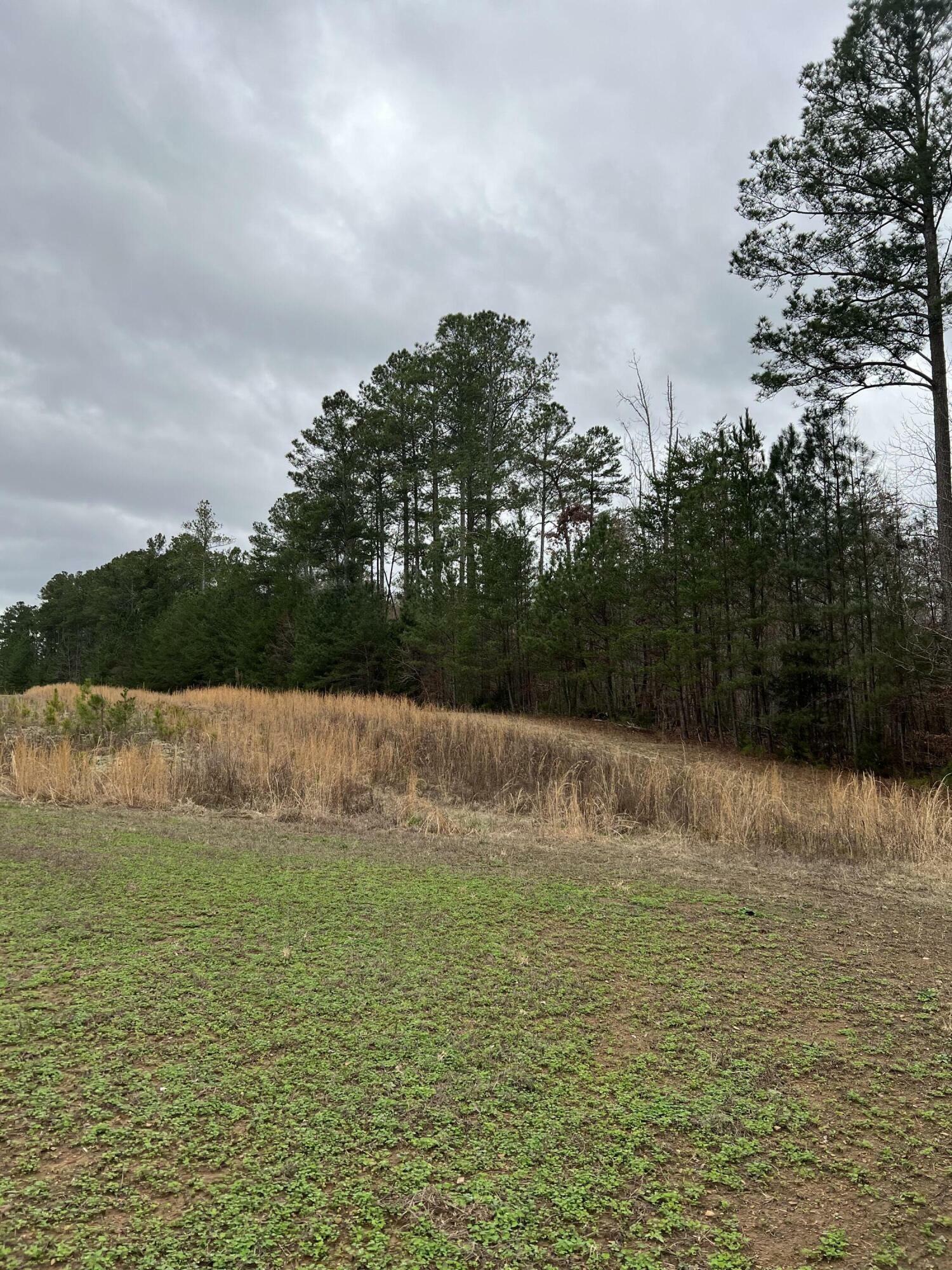 Property Photo: 228 Johnston Rd #3 TN 37353