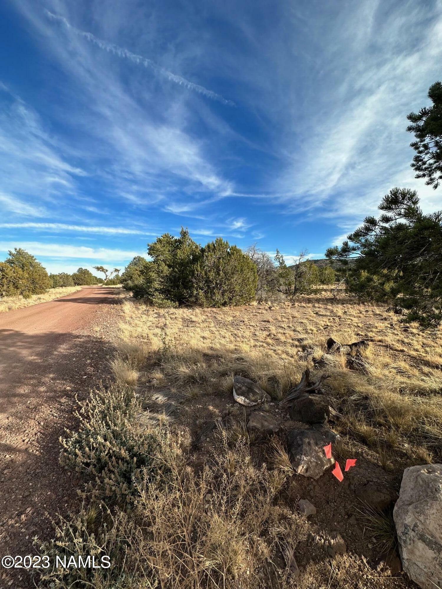 Property Photo:  1164 E Cedar Wash Road  AZ 86046 