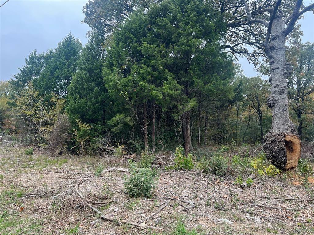 Property Photo:  0 W Quanah Road  TX 75156 