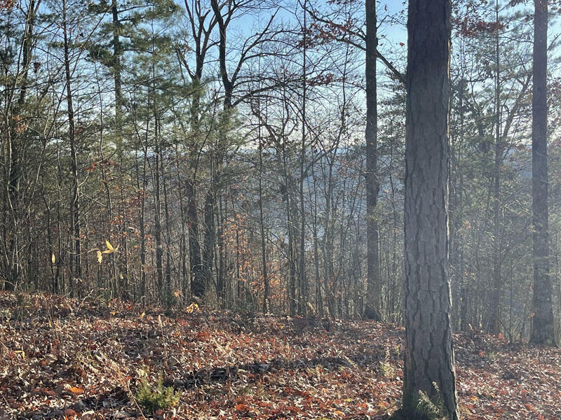 Property Photo:  Lot 7 Sandstone Point  KY 42633 