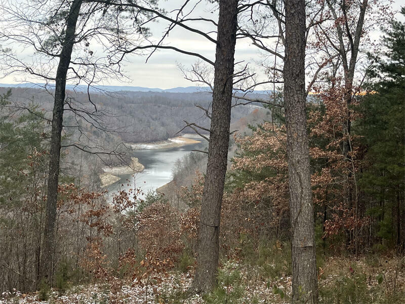 Property Photo:  Lot 7 Sandstone Point  KY 42633 