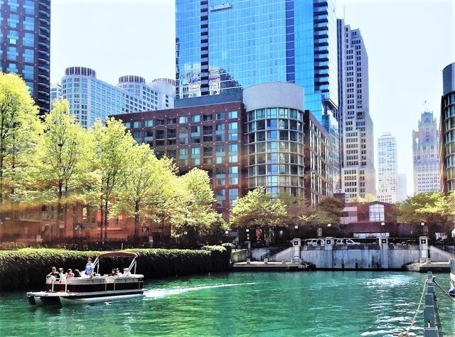 Property Photo: 440 N McClurg Court 806 IL 60611