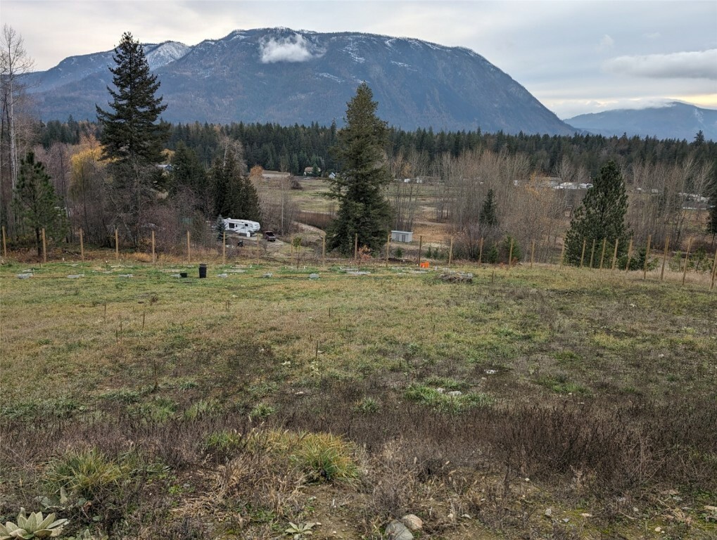 Photo de la propriété:  2481 Squilax-Anglemont Road  BC V0E 1M4 