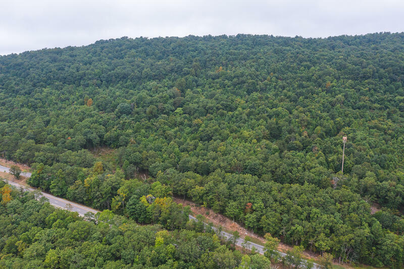 Property Photo:  Tbd Pandapas Pond Rd  VA 24060 