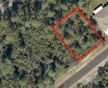 Property Photo:  SW 165th Street Rd  FL 34473 