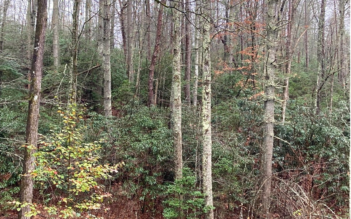 Property Photo:  1.93a Seneca Road  NC 28906 