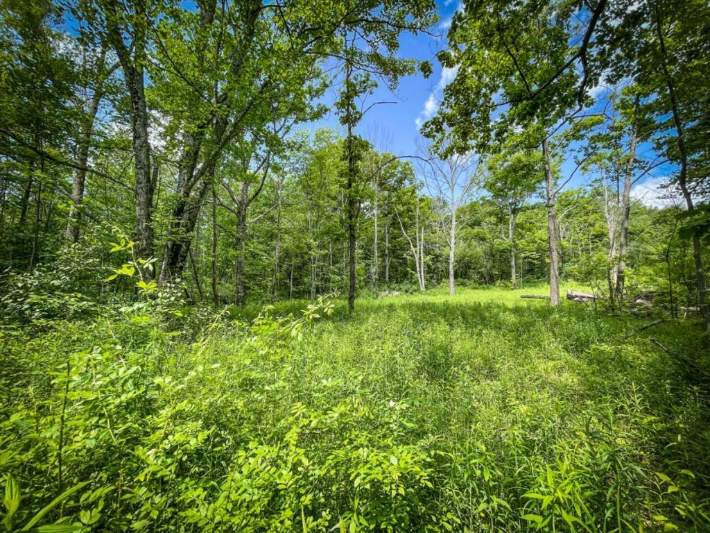 Property Photo:  0 Cayutaville Road  NY 14867 