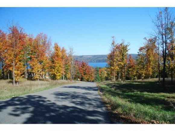 Property Photo:  5234 Oak Harbor Lot #10  NY 14886 