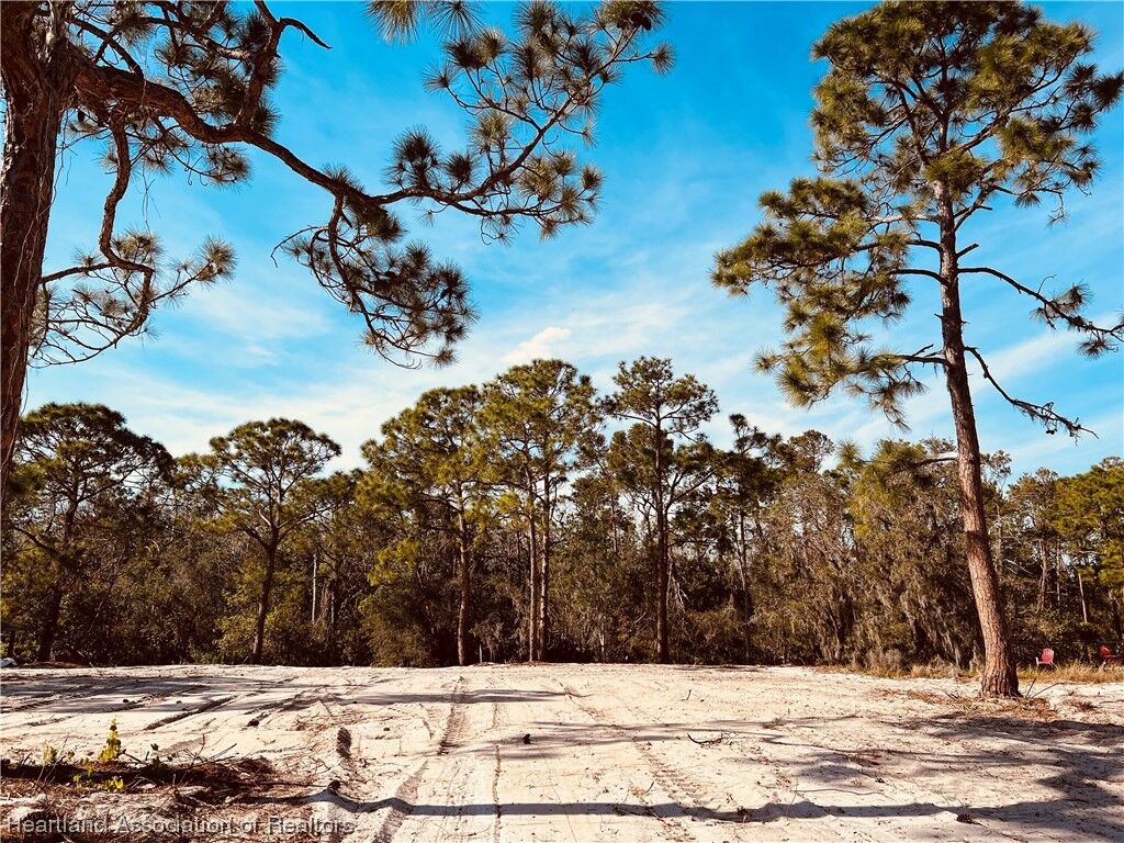 Property Photo:  1102 Sycamore Street  FL 33852 