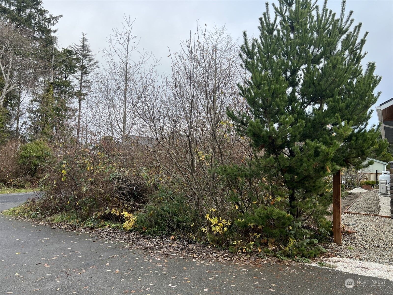 MLS2184236 5 Drake Lane, Pacific Beach, WA 98571