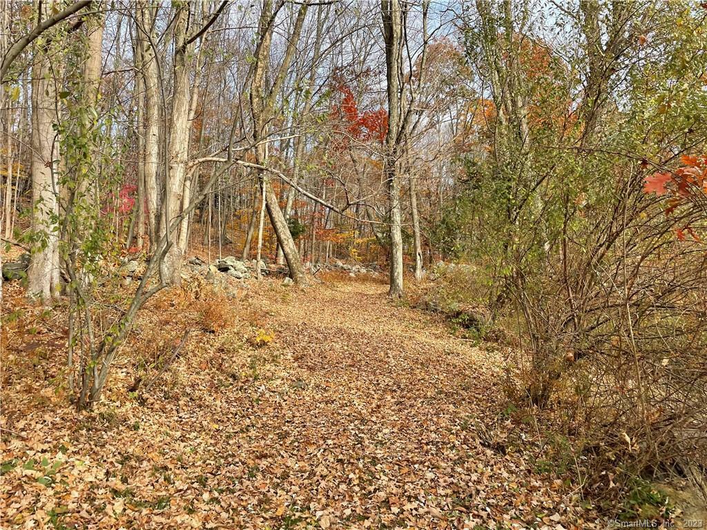 Property Photo:  208 State Route 37  CT 06812 