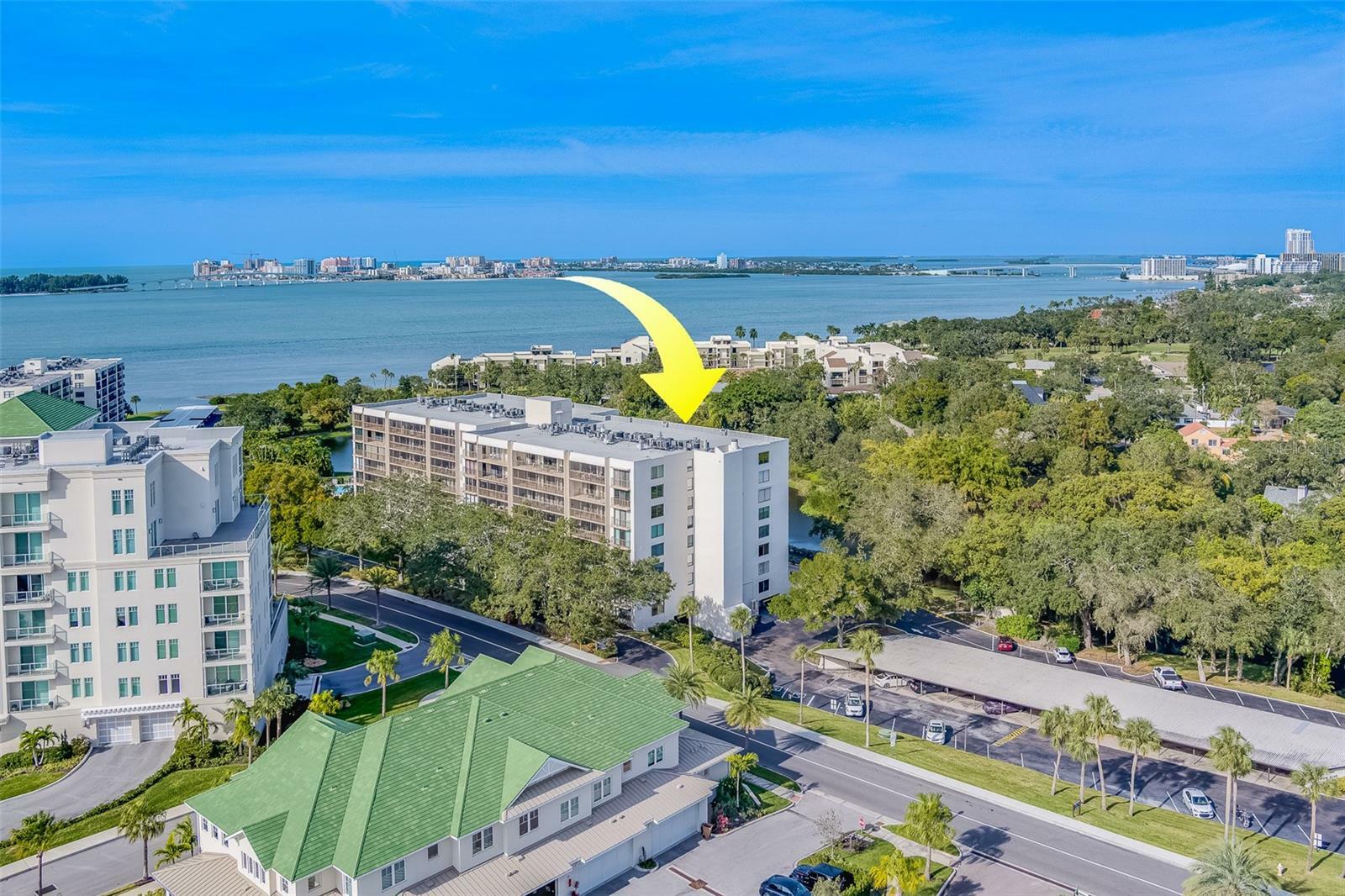 Property Photo: 220 Belleview Boulevard 805 FL 33756