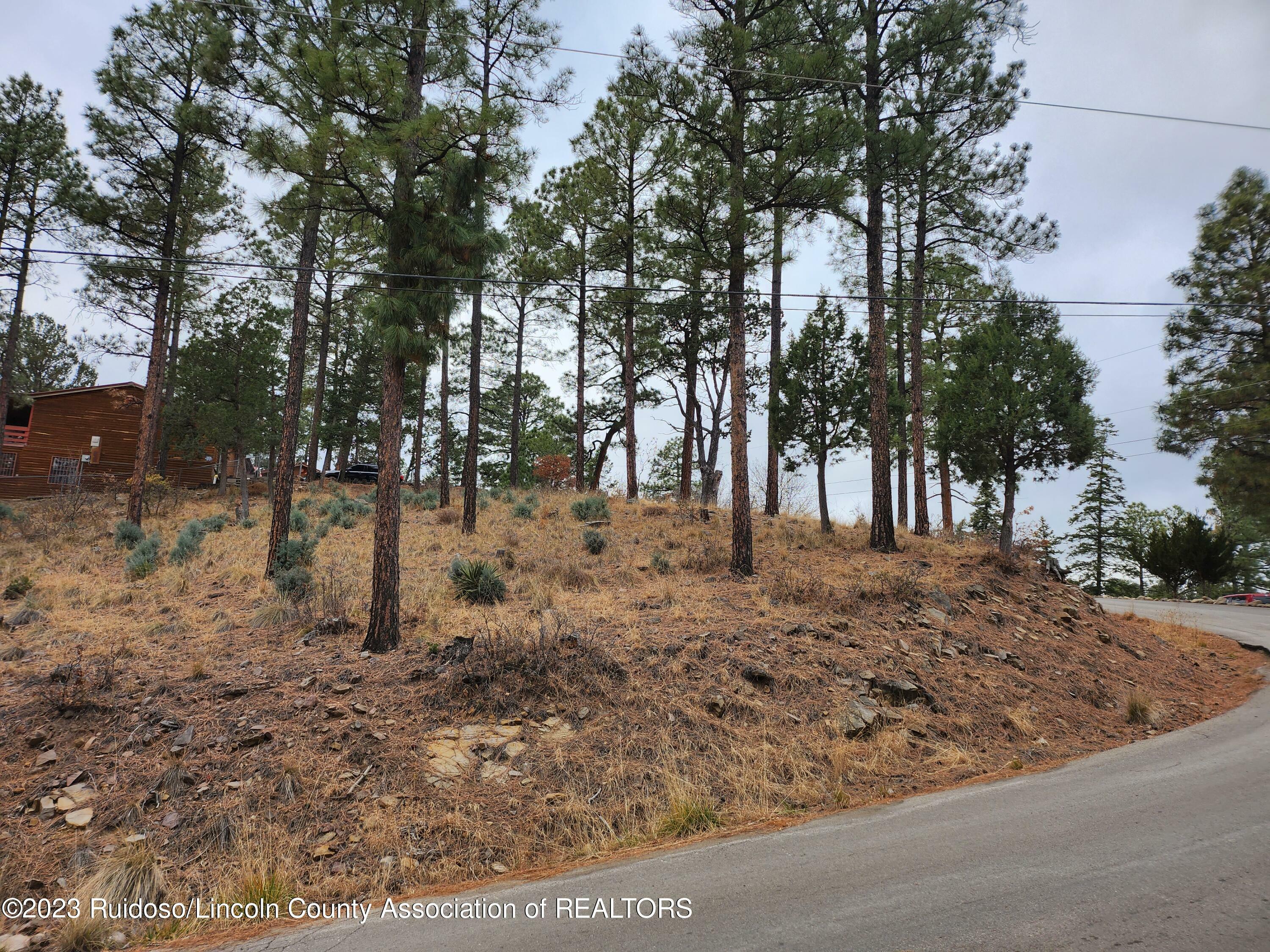 138 King Richard Drive  Ruidoso NM 88345 photo