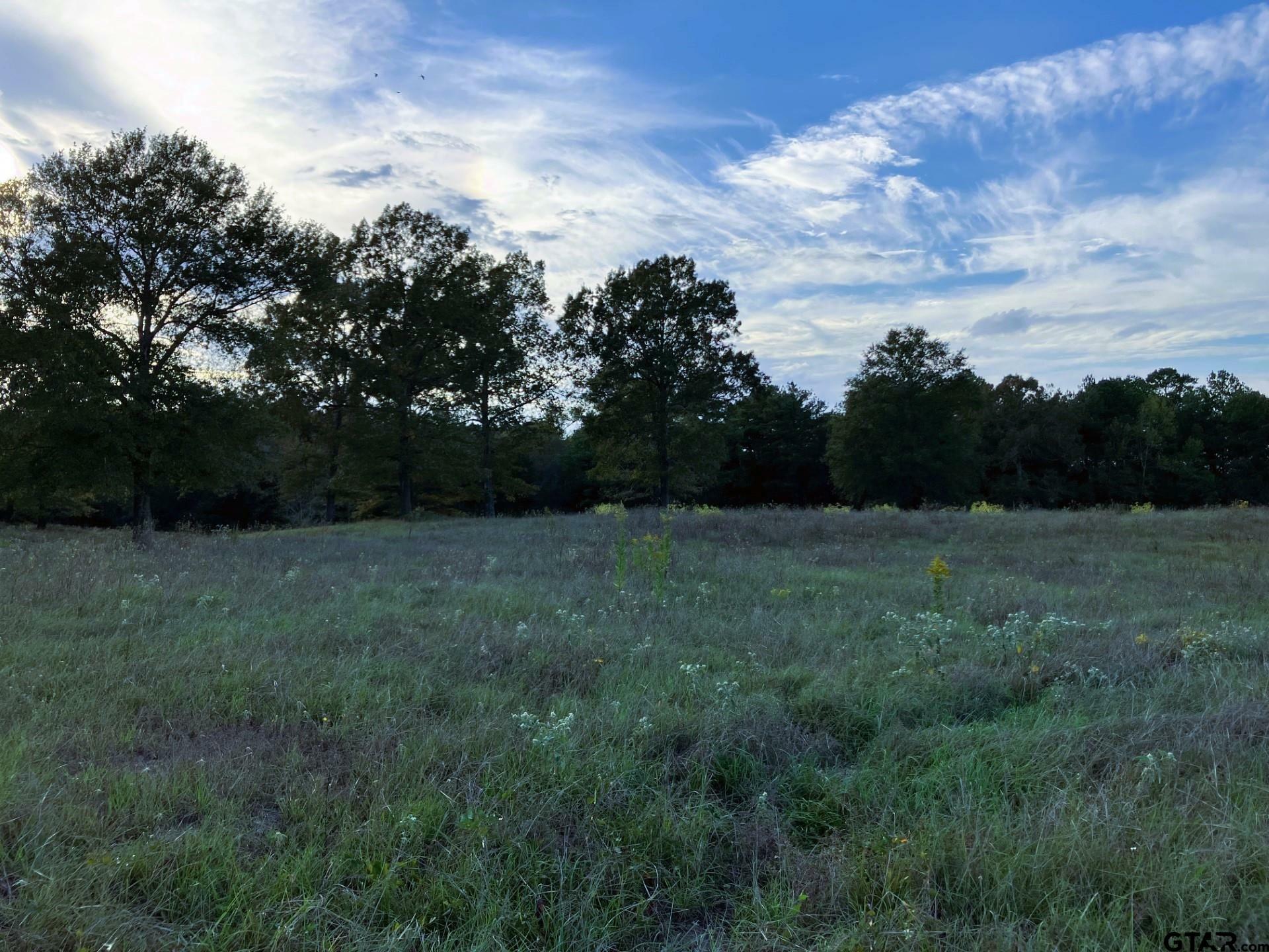 Property Photo:  Lot 35 White Oak Creek Ranch  TX 75755 