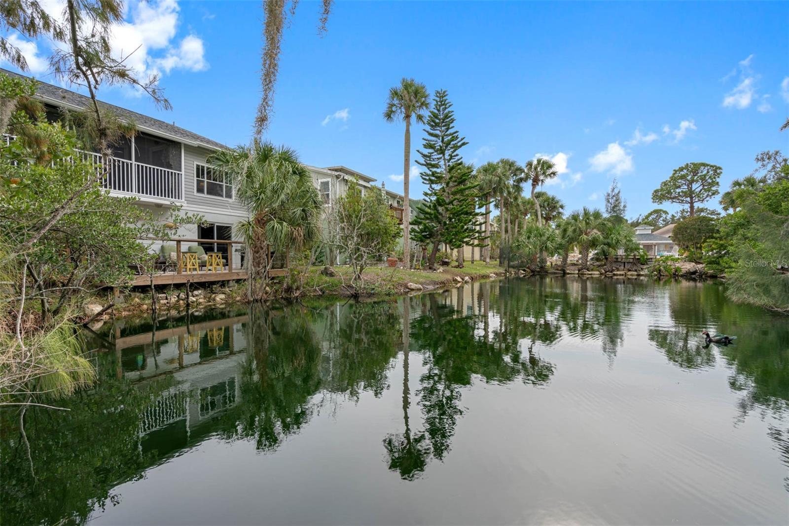 Property Photo: 7705 Sailwinds Pass FL 34668
