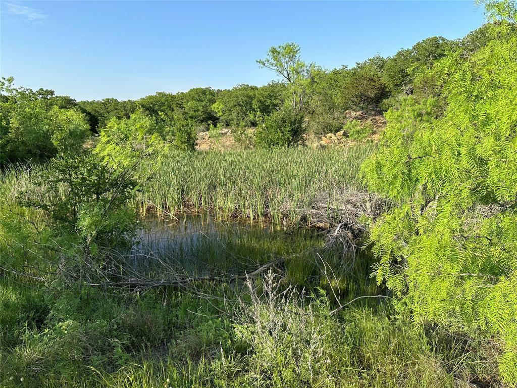 Property Photo:  5730 Gobbler Hollow  TX 76801 