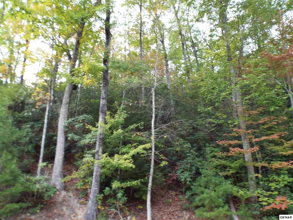 Property Photo:  3082 Jones Creek Lane  TN 37862 