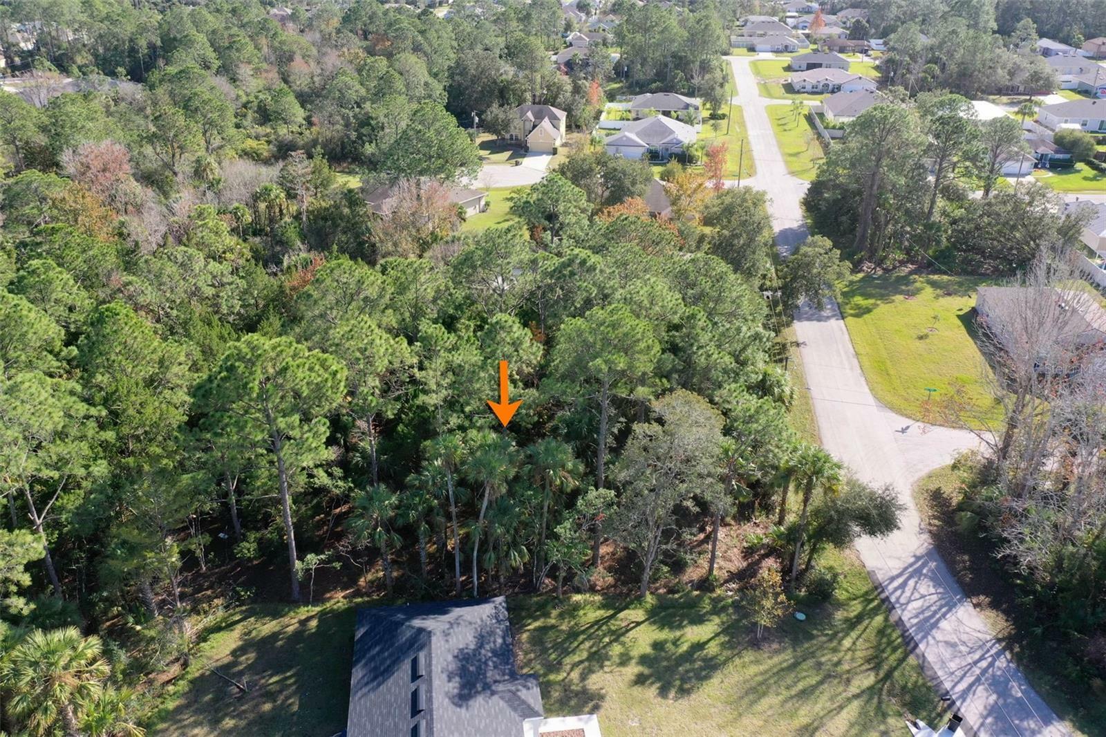 Property Photo:  16 Sea Serpent Trail E  FL 32164 