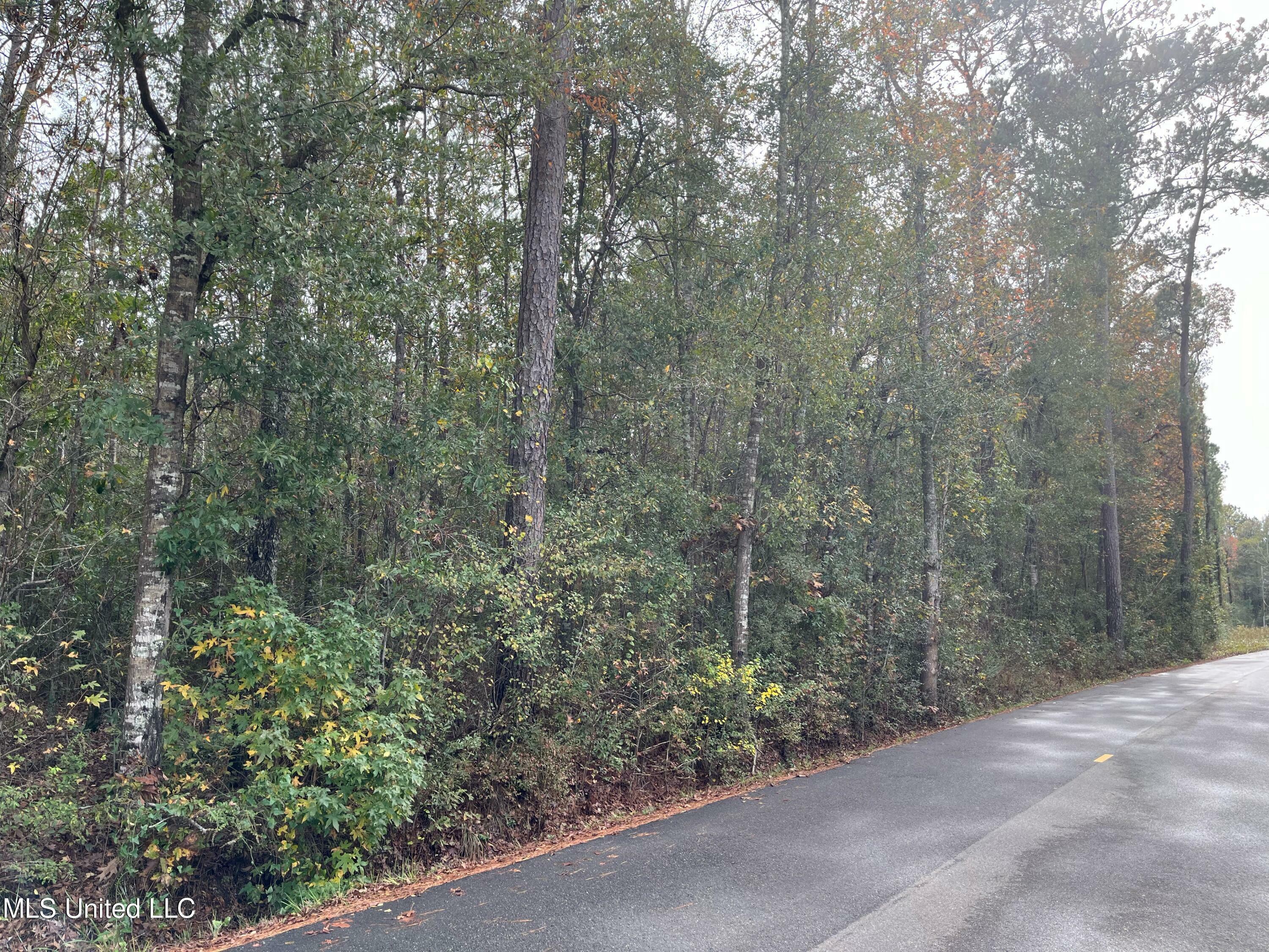 Property Photo:  Inside Road  MS 39466 