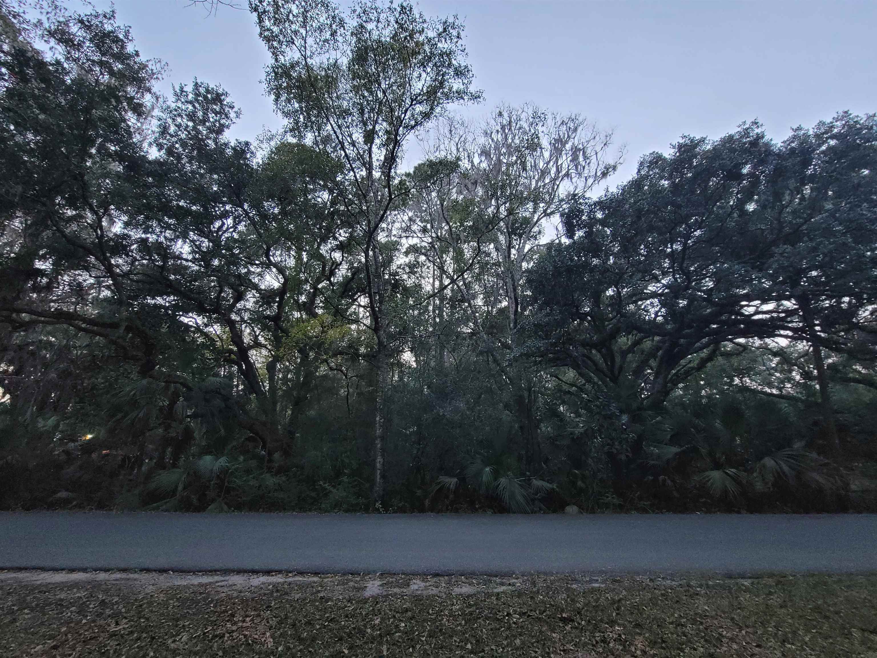 Property Photo: 0.4 Ac Ladd Drive FL 32355