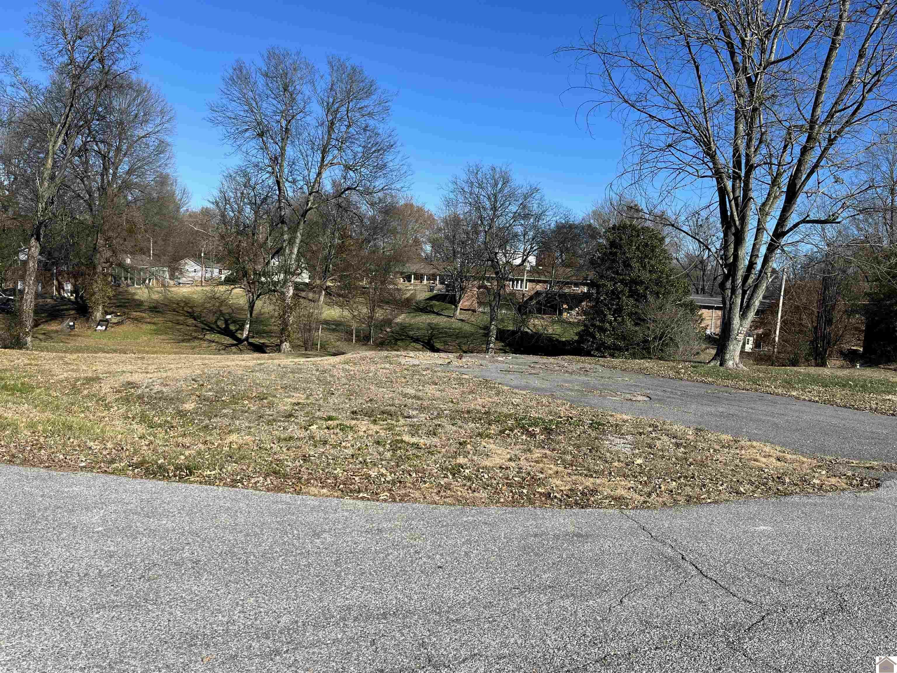 Property Photo:  245 Myrna Drive  KY 42003 