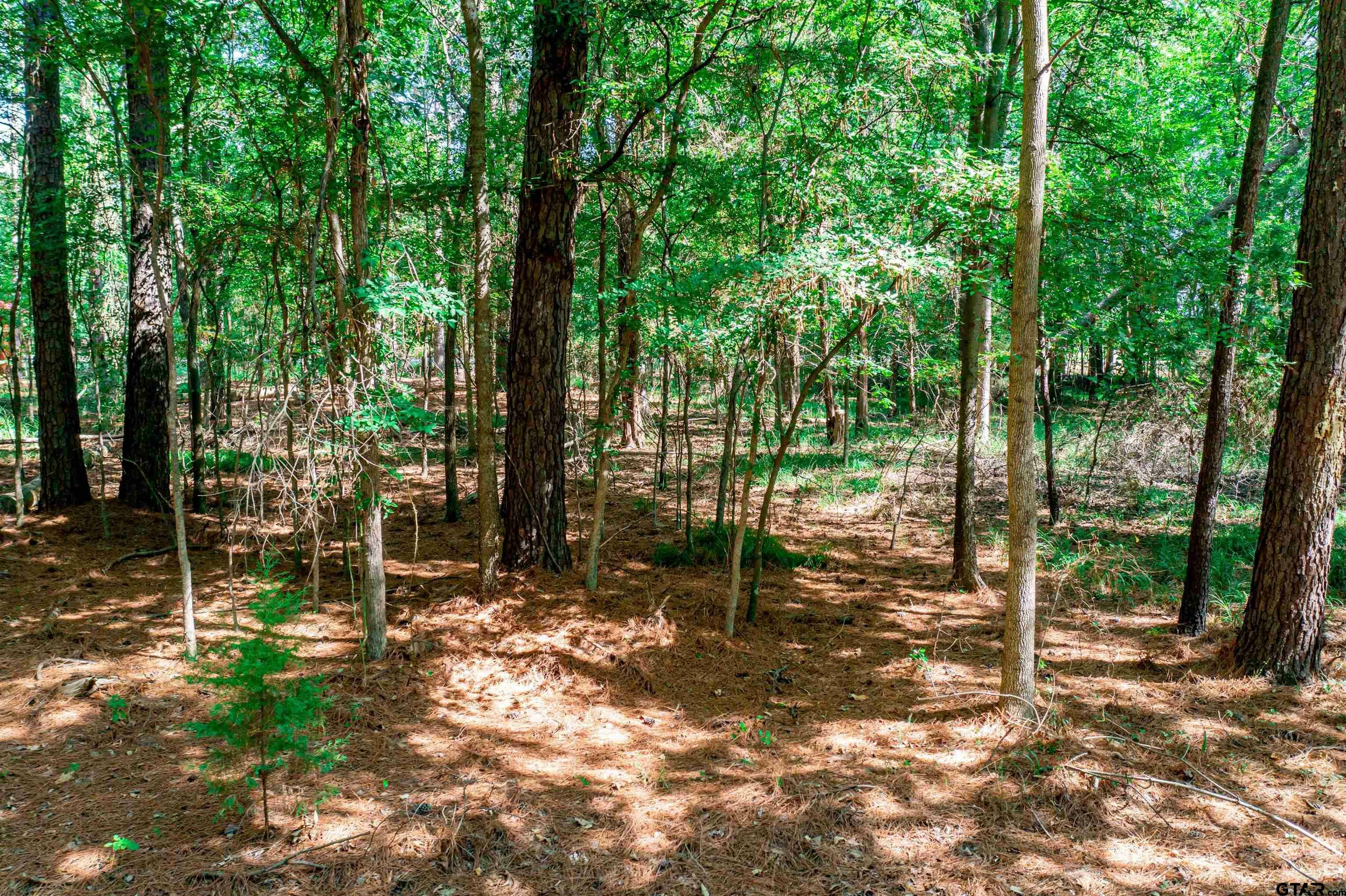 Property Photo:  Lot 27 Wildwood Trl  TX 75457 