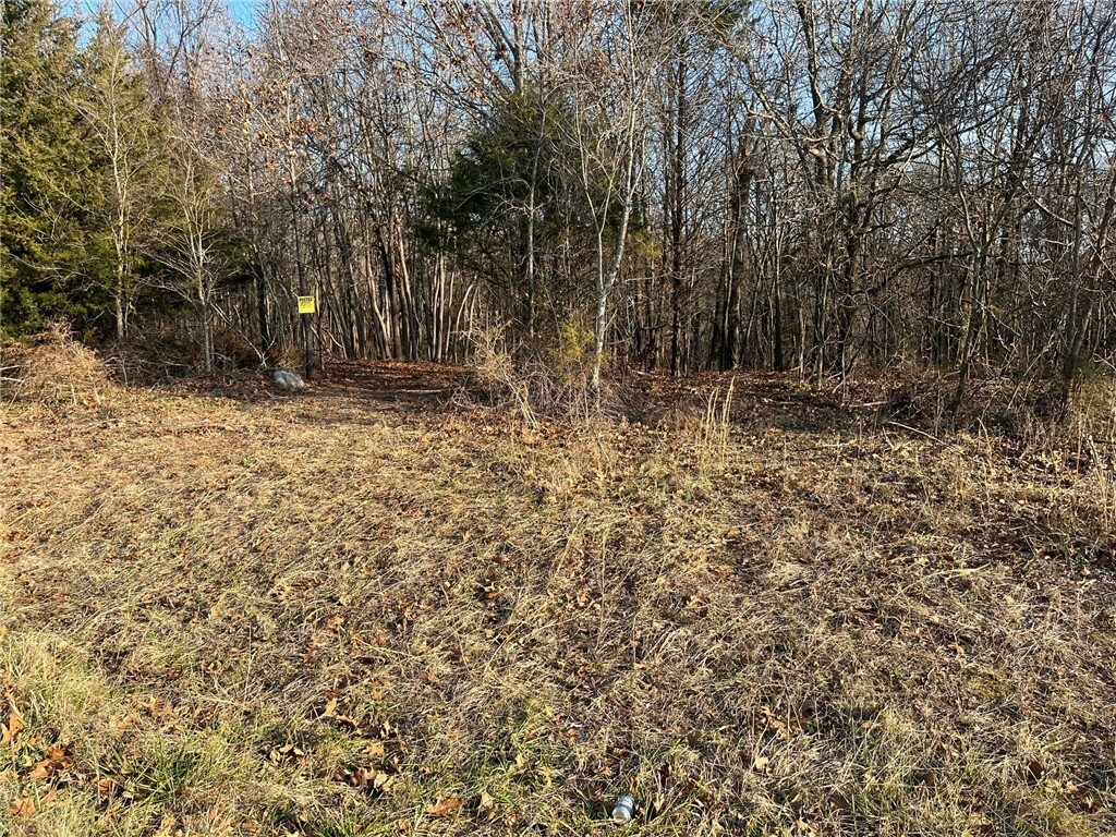 Property Photo:  Lot 4 Posy Mountain Drive  AR 72732 