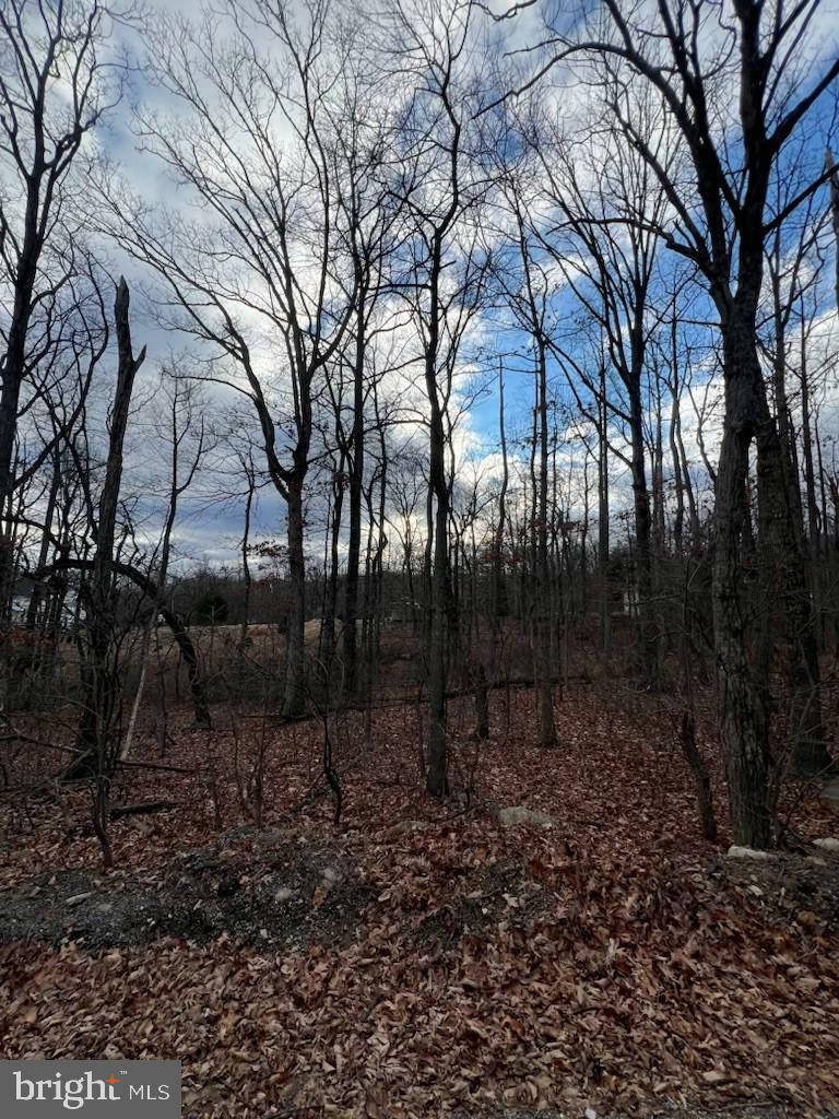 Property Photo:  Lot 18 Remington Drive  VA 22602 