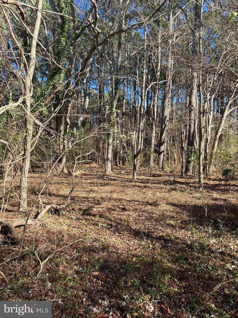 Property Photo:  Lot 11 Davis Rd  MD 21838 