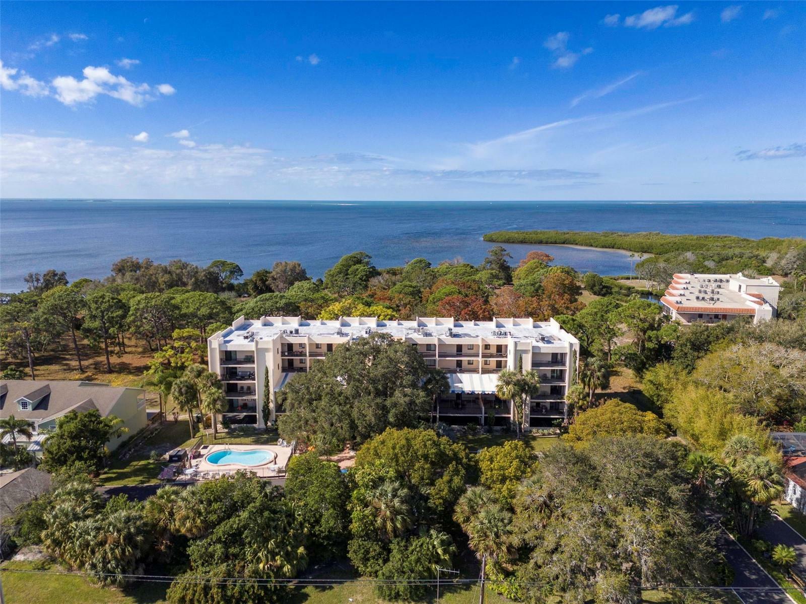 Property Photo:  203 Tarpon Point 203  FL 34689 