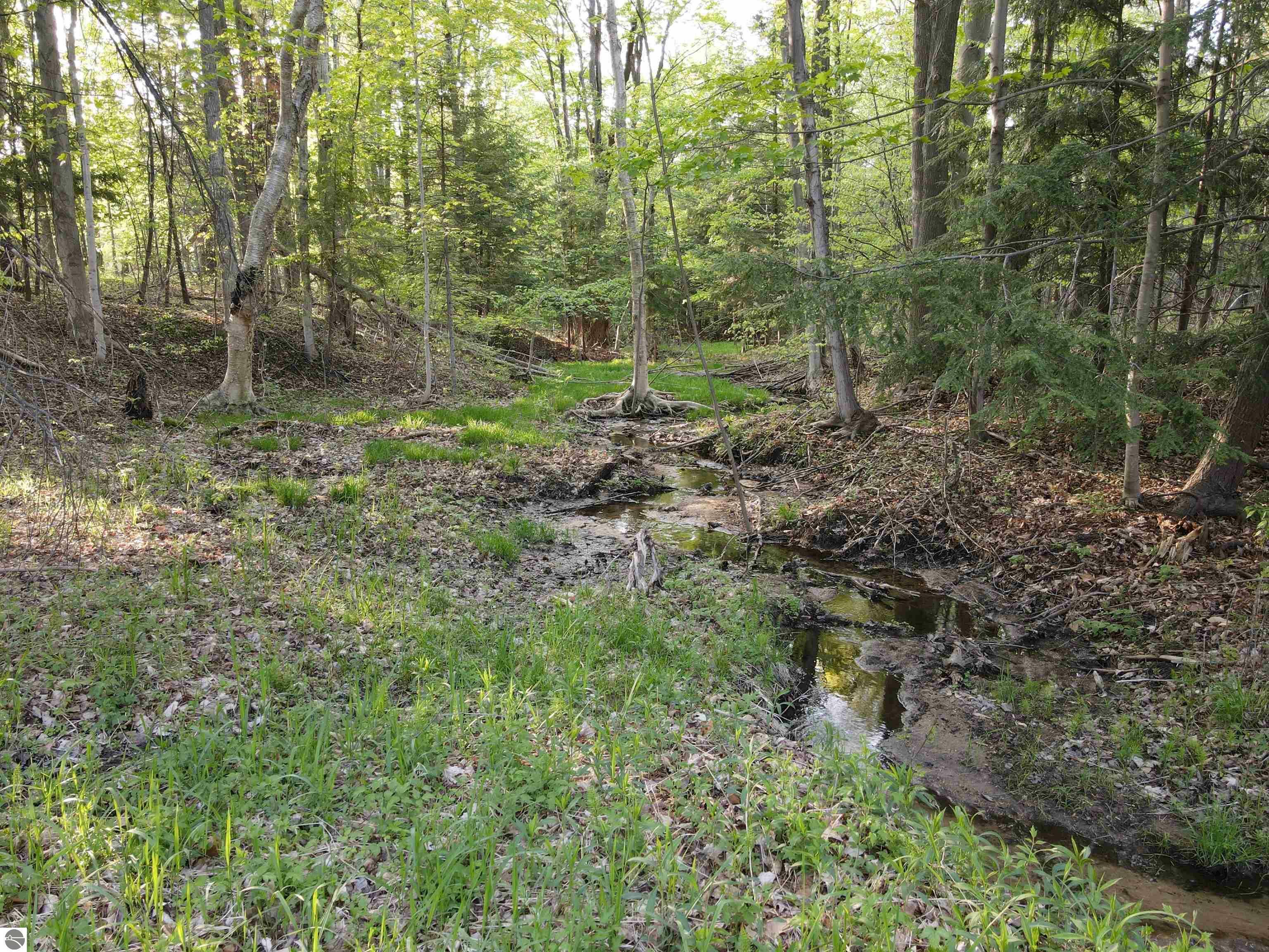 Property Photo:  0 Marsh Road Parcel B  MI 49649 