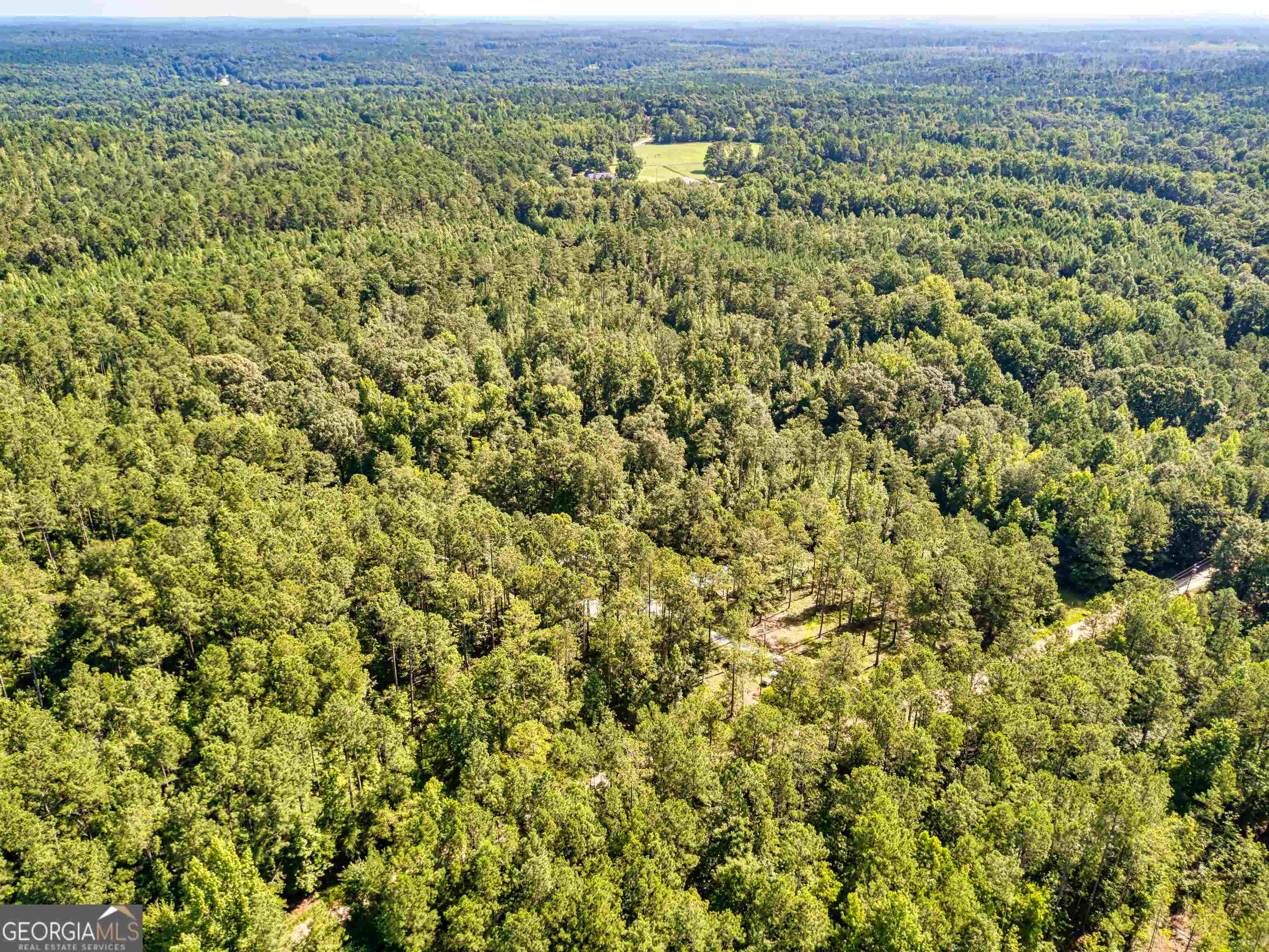 Property Photo:  603 Buster Brown Road Tract 1  GA 30233 