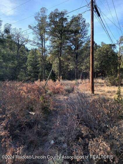 Property Photo:  202 & 204 Lancashire Lane  NM 88345 