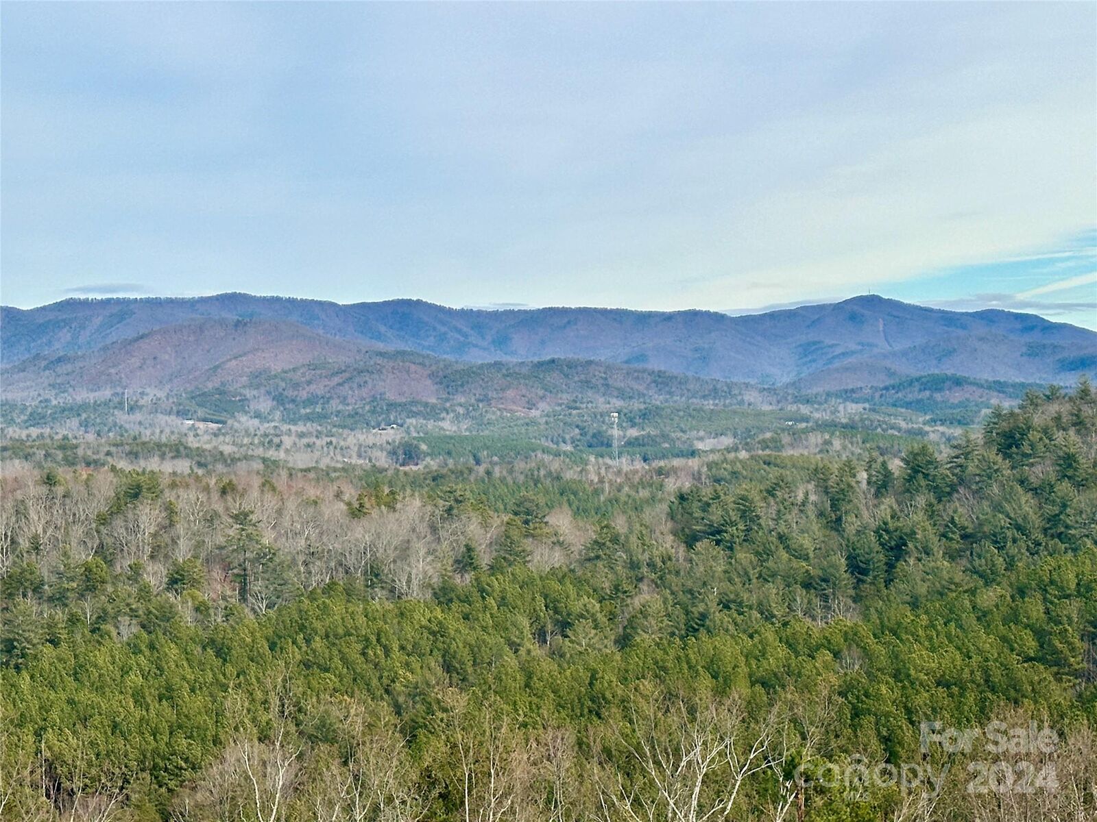 Property Photo:  0 Woodgate Drive 41  NC 28018 