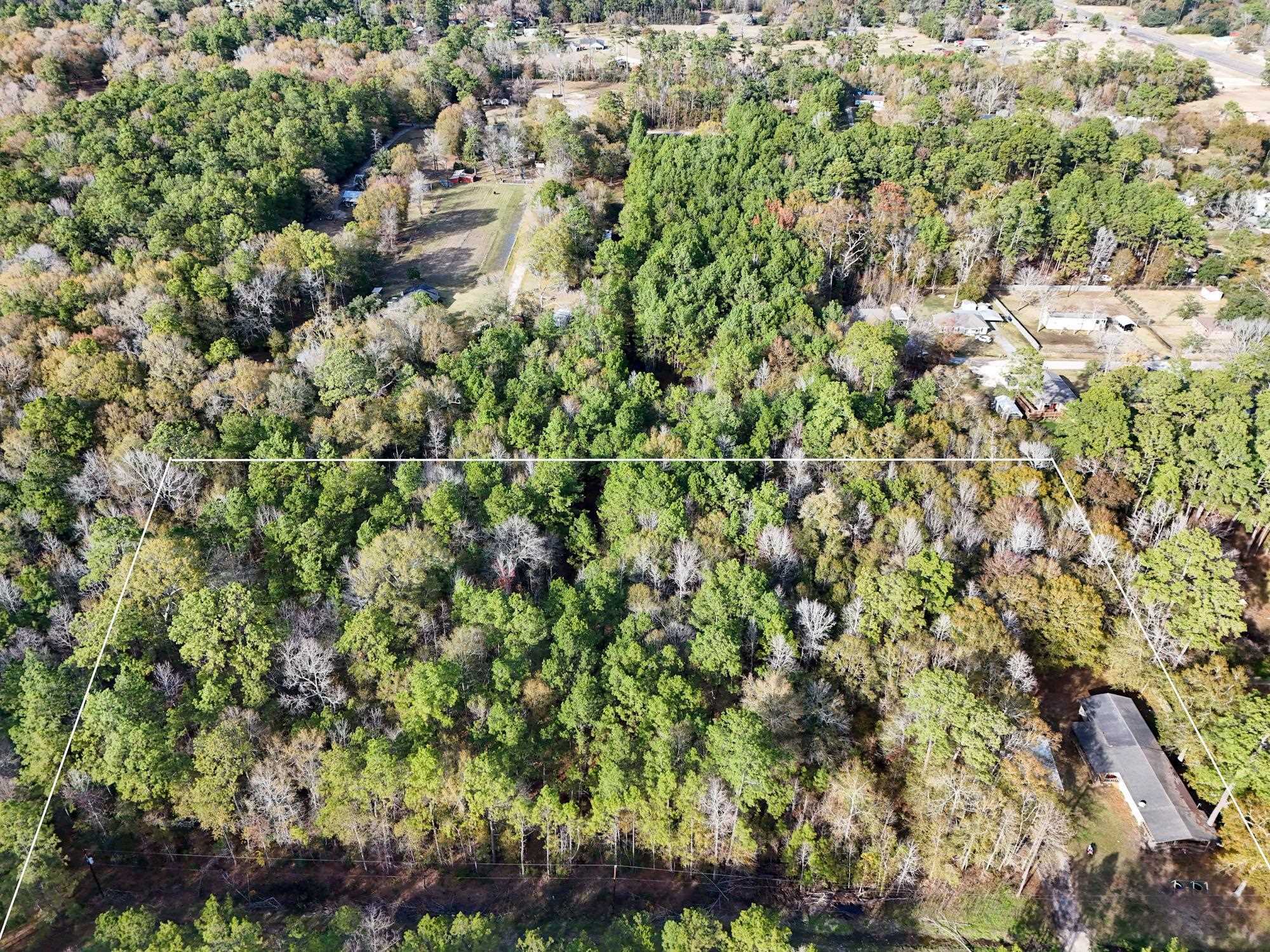 Property Photo: 395 Willette TX 77662