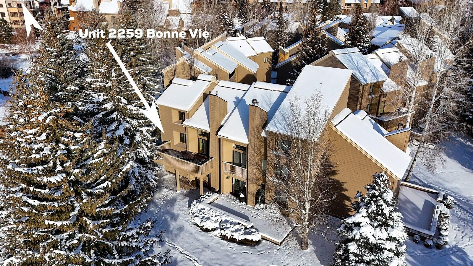 Property Photo:  2259 Bonne Vie Condo Dr  ID 83353 