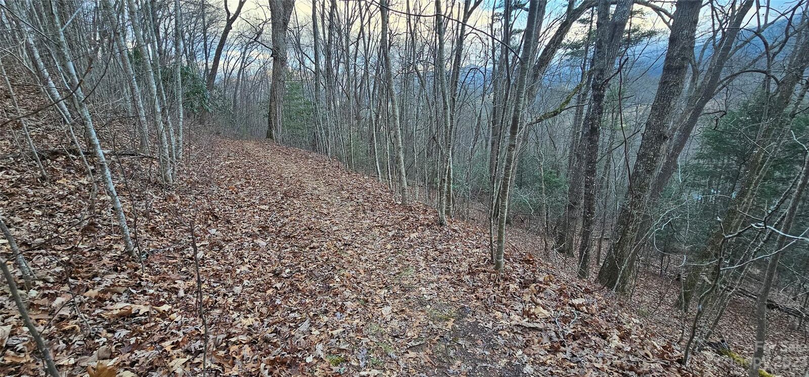 Property Photo:  Lot 9 Seay Mountain Road  NC 28785 