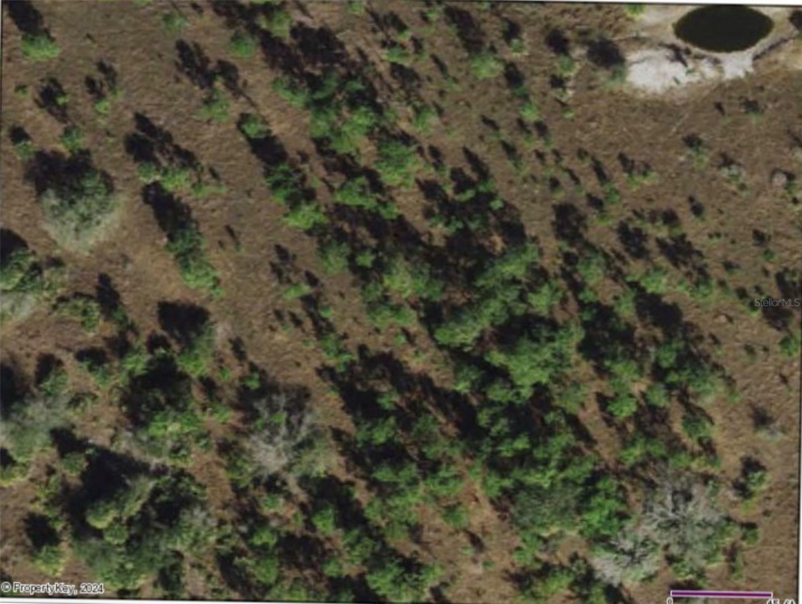 Property Photo:  49599 And 49601 Bermont Road  FL 33982 