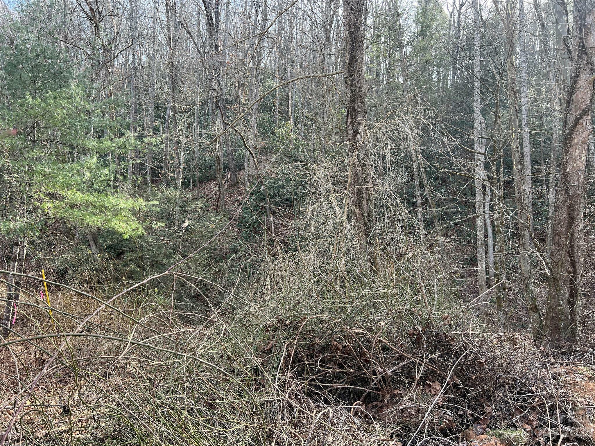 Property Photo:  Lot 19 Oakdale Estates Drive  NC 28762 