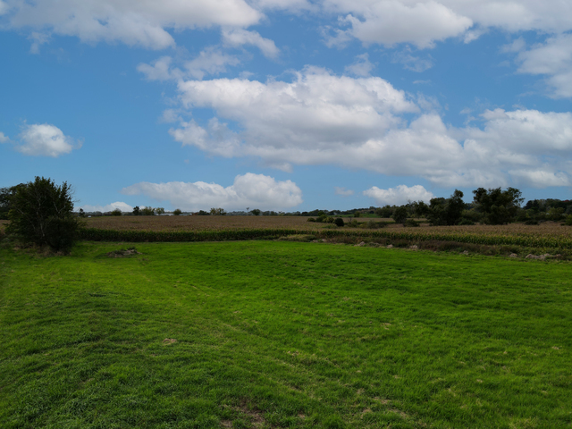 Property Photo:  29564 N Garland Road  IL 60084 