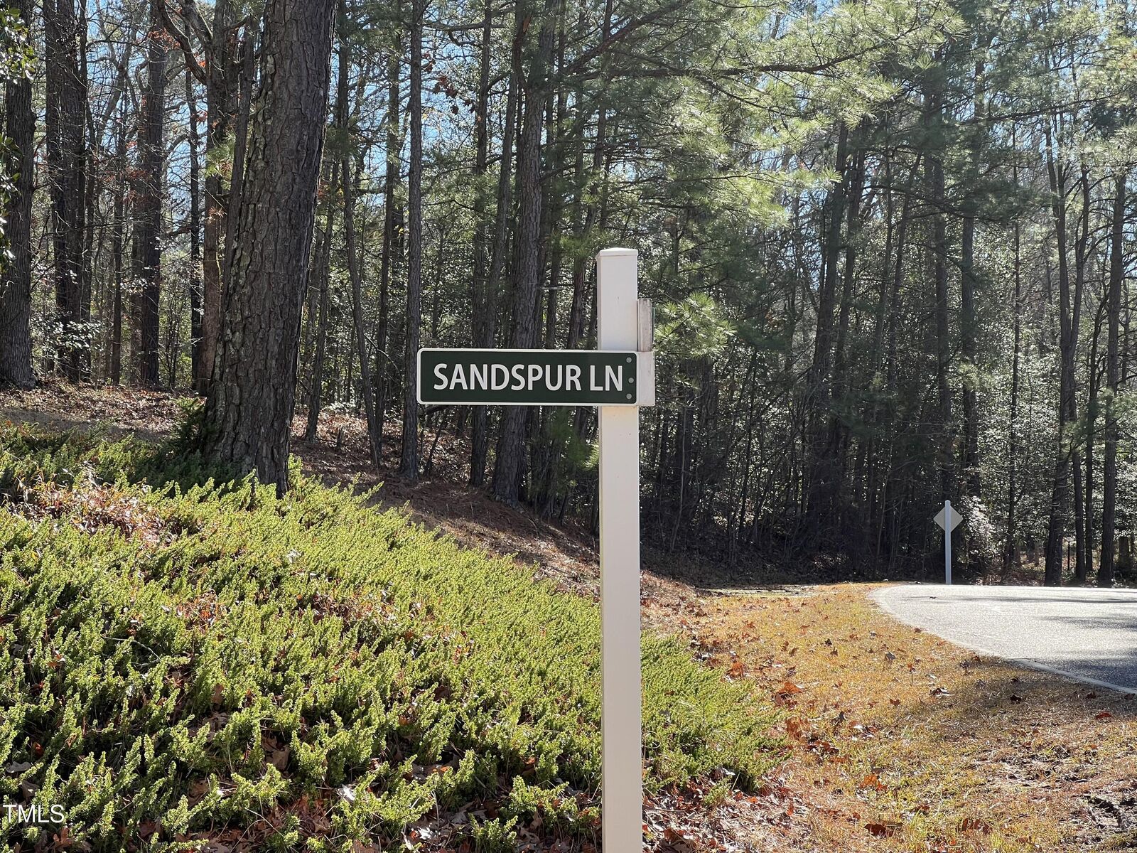 Property Photo: 747 Sandspur Drive NC 28394