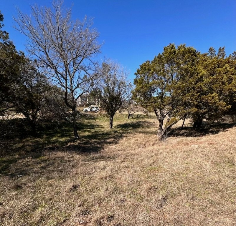 Property Photo: W2043 Purple Granite TX 78657