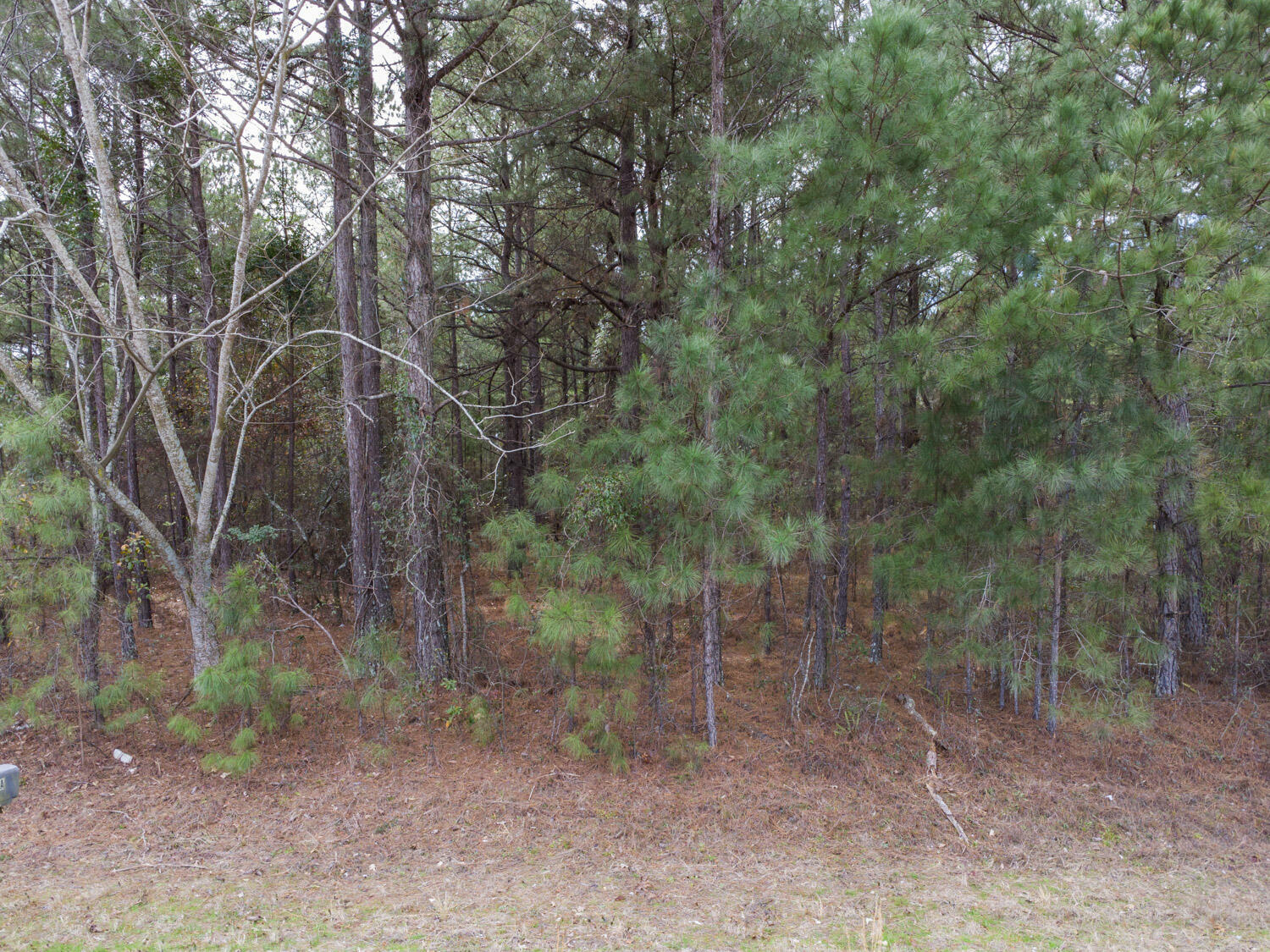 Property Photo:  758 Bennock Mill Road  GA 30906 