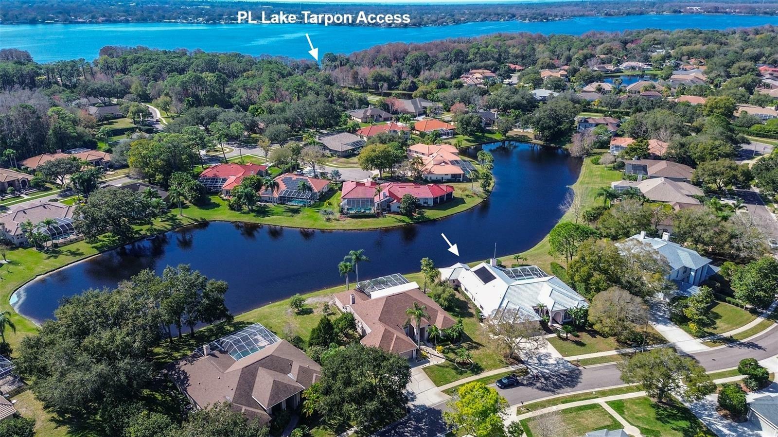 Property Photo:  3962 Arlington Drive  FL 34685 