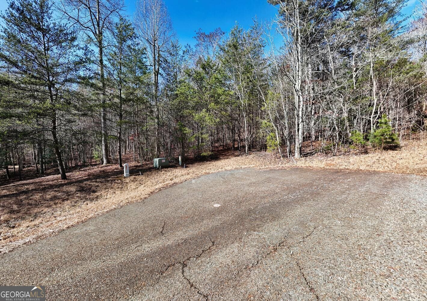 0 Bear Creek Road Lot 15  Morganton GA 30560 photo