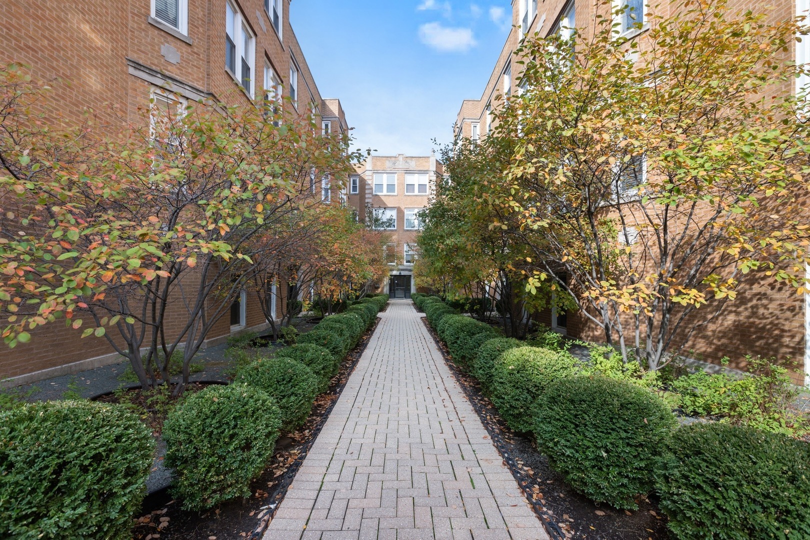 Property Photo:  534.5 W Belmont Avenue 1S  IL 60657 