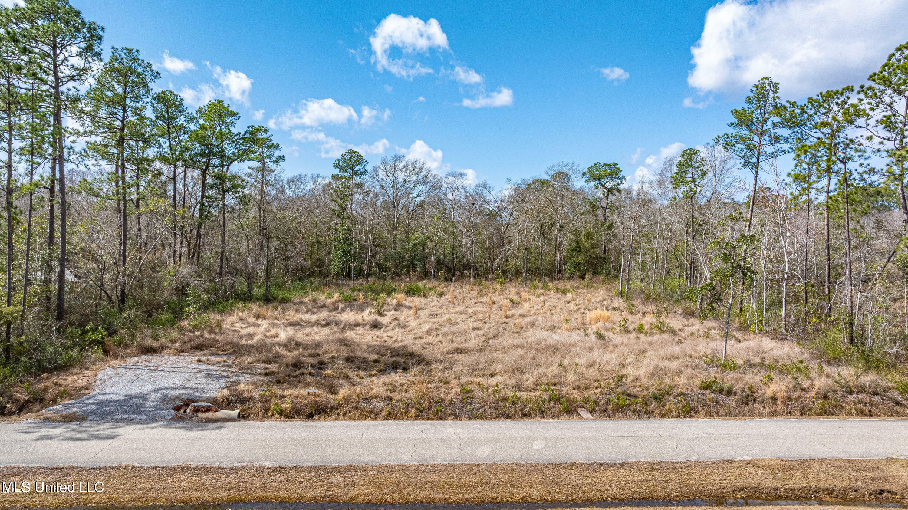 Property Photo:  S Country Wood Drive  MS 39503 