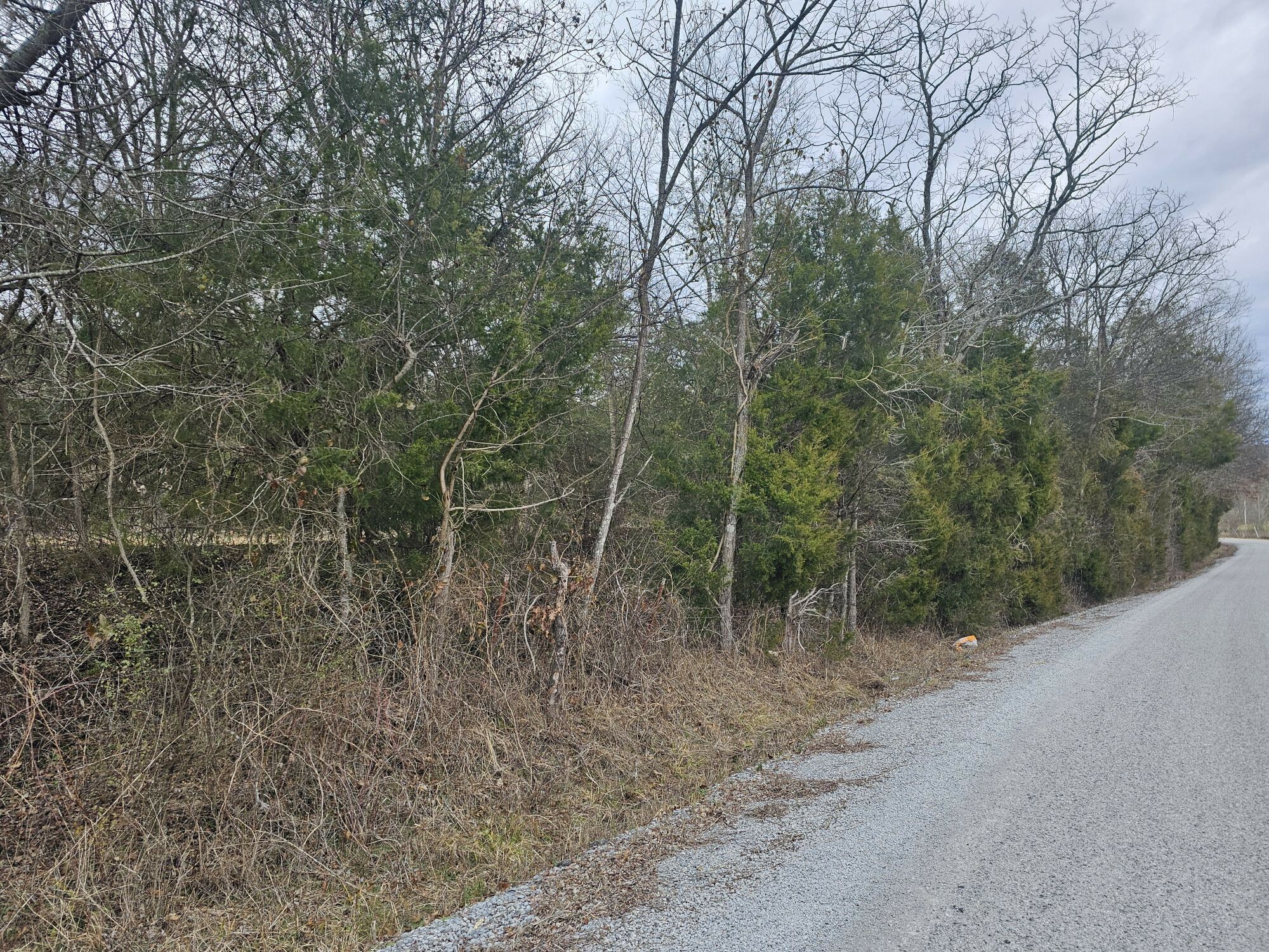 Property Photo:  1 Love Branch Rd  Tract 1  TN 38461 
